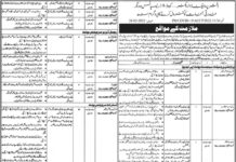 Job Opportunity At Government Organization Sindh