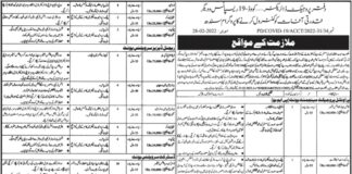 Job Opportunity At Government Organization Sindh