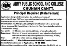 Faculty Jobs At Army Public School and College