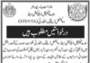 Sindh Technical Education and Vocational Training Authority Jobs
