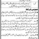 Sindh Technical Education and Vocational Training Authority Jobs