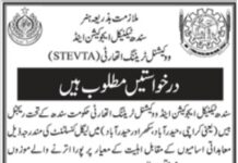 Sindh Technical Education and Vocational Training Authority Jobs