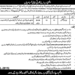 Job Announced At Agriculture Department Lahore