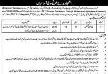 Job Announced At Agriculture Department Lahore
