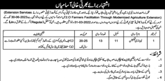 Job Announced At Agriculture Department Lahore