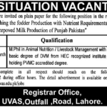 Jobs in University of Veterinary & Animal Science UVAS