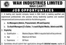 Jobs in Wah Industries Limited 2022