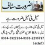 Jobs at Private Company