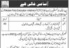 Jobs At CHIP Training And Consulting Pvt ltd Chaman