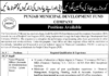 Jobs At Punjab Municipal Development Fund Company PMDFC Lahore