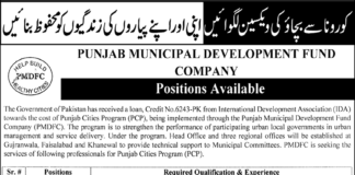 Jobs At Punjab Municipal Development Fund Company PMDFC Lahore