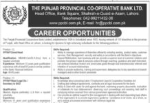 Jobs At Punjab Provincial Cooperative Bank Ltd PPCBL