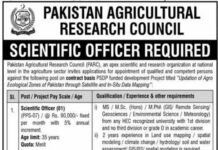 Jobs in Pakistan Agricultural Research Council PARC