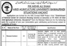 Positions At Arid Agriculture University Rawalpindi