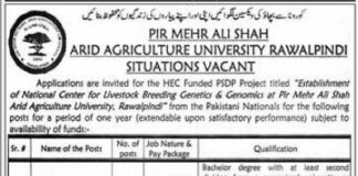 Positions At Arid Agriculture University Rawalpindi