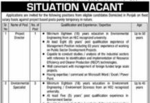 Government Organization Lahore Jobs 2022
