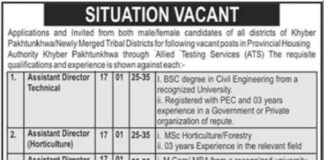 Provincial Housing Authority KPK Jobs