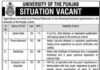 University of the Punjab Jobs 2022