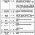 University of the Punjab Jobs 2022