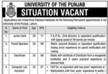 University of the Punjab Jobs 2022
