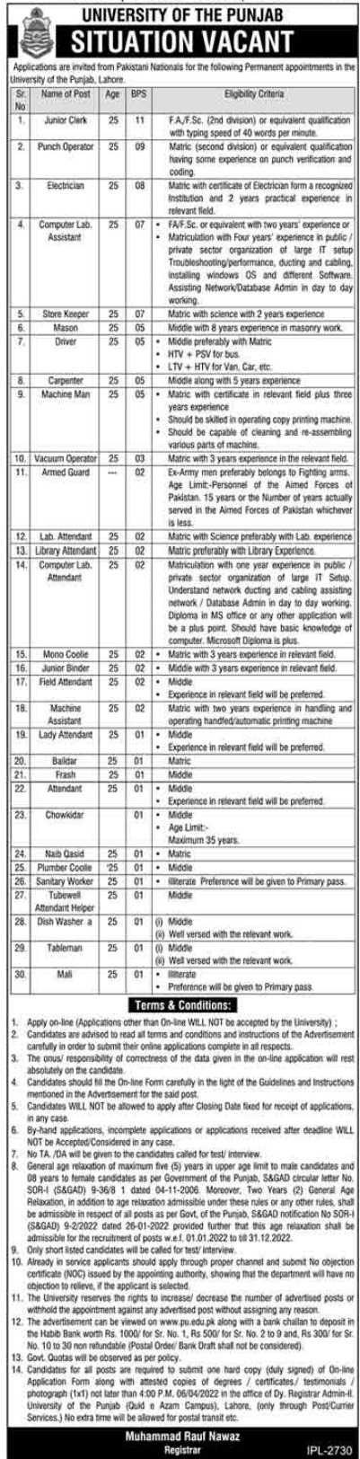 University of the Punjab Jobs 2022