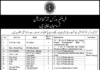 Jobs At Frontier Works Organization Rawalpindi