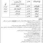 Public Sector Organization Karachi Jobs