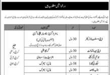 Public Sector Organization Karachi Jobs