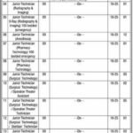 Jobs Announced In Punjab Institute of Cardiology Lahore