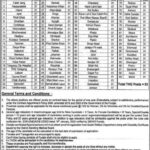 Primary and Secondary Healthcare Department Jobs