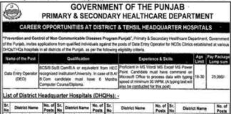 Primary and Secondary Healthcare Department Jobs