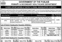 Primary and Secondary Healthcare Department Jobs Lahore 2022