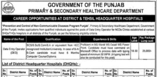 Primary and Secondary Healthcare Department Jobs Lahore 2022