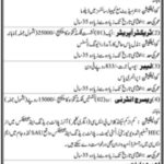 Sindh Agriculture University Jobs 2022