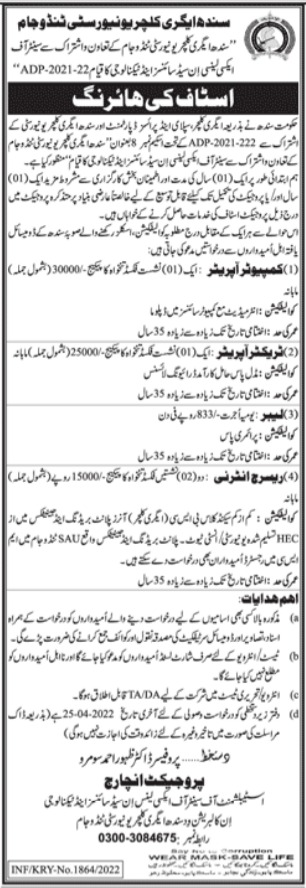 Sindh Agriculture University Jobs 2022