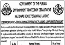 Strategic Planning and Implementation Unit Lahore Jobs 2022
