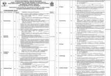Faculty Staff Jobs At Quaid e Azam Medical College 2022