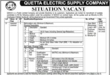 Jobs At Quetta Electric Supply Company 2022