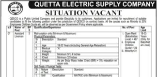 Jobs At Quetta Electric Supply Company 2022