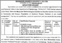 Jobs At Bahauddin Zakariya University Multan BZU