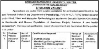 Jobs At Bahauddin Zakariya University Multan BZU