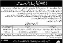 Urgent Job At Population Welfare Department Lahore
