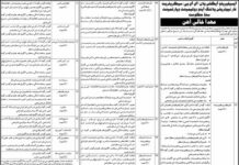 Jobs At Planning and Development Department Sindh