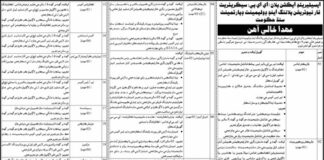 Jobs At Planning and Development Department Sindh