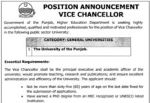 Jobs At Higher Education Department Lahore